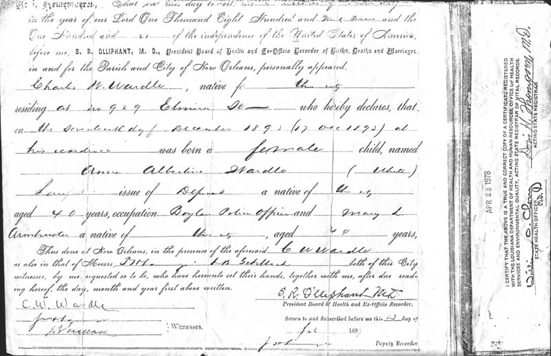 File:Anna Albertine Wardle 1893 Birth Certificate 2.jpg